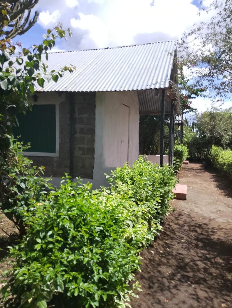 Eco Mara Forest Camp Ololaimutiek Habitación foto